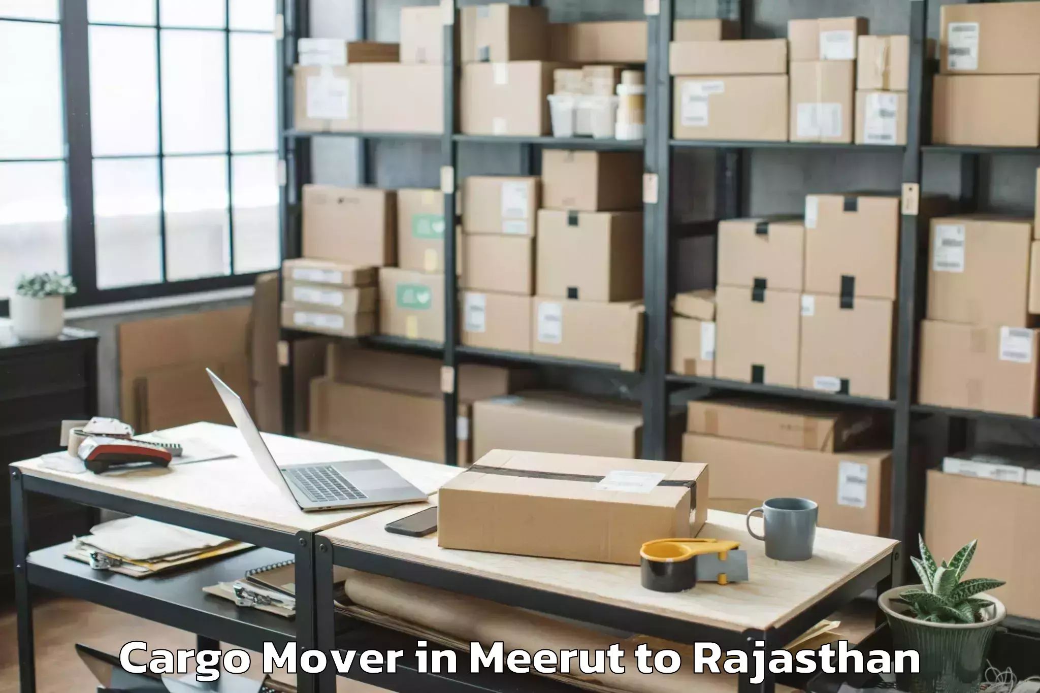 Easy Meerut to Nagaur Cargo Mover Booking